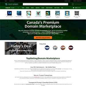 topsellingdomain.com thumb